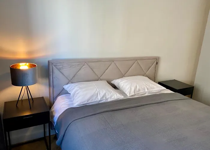 Cozy Reimani - Heart Free Parking Talin